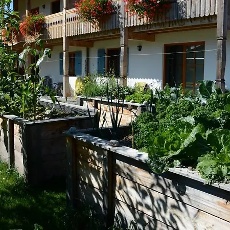 Gaestehaus Wild-schuetz Oda ve Kahvaltı