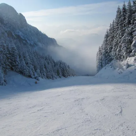 Oda ve Kahvaltı Gaestehaus Wild-schuetz