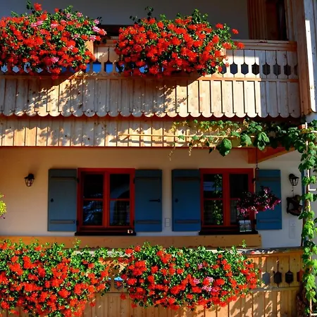 Gaestehaus Wild-schuetz * Schwangau