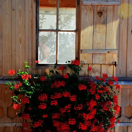 Bed & Breakfast Gaestehaus Wild-schuetz